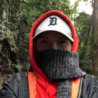 Healthy tour in Lamington National Park 