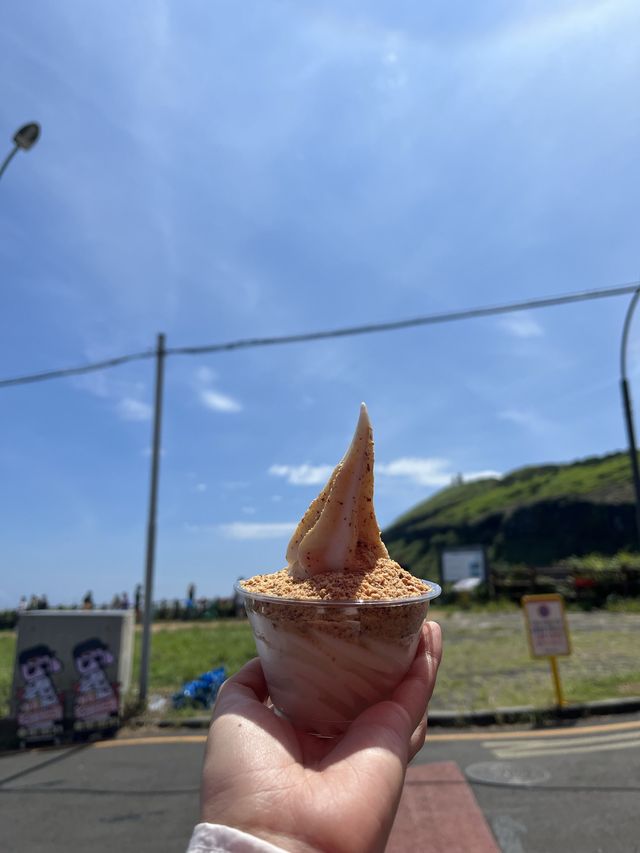 떠나자! 제주도 우도🏝️