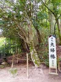 【島根県/八重垣神社】2023年行ってよかった！島根県の神社③