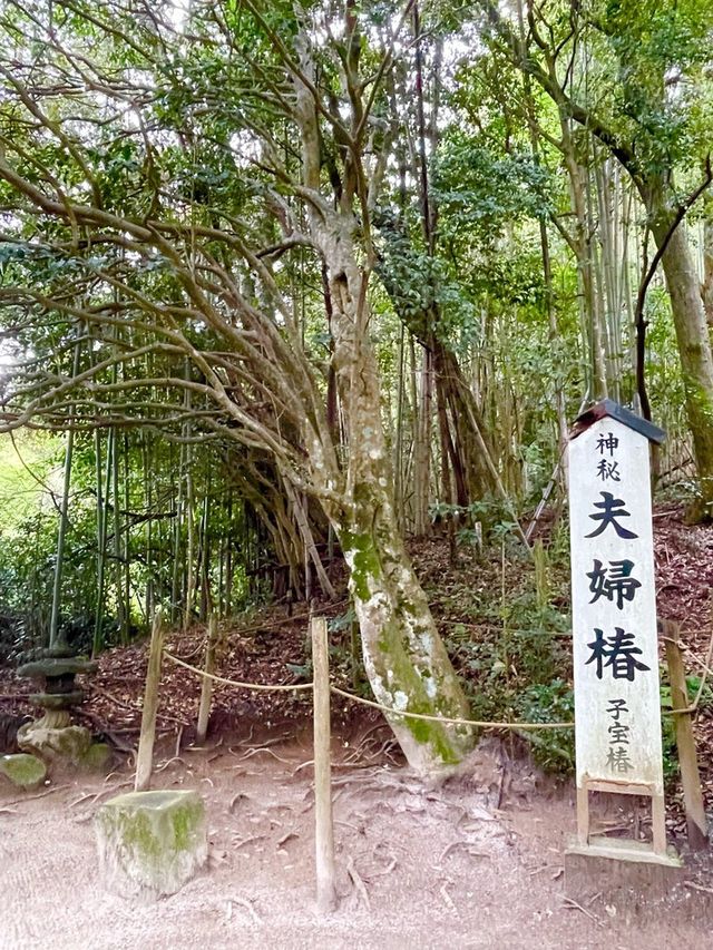 【島根県/八重垣神社】2023年行ってよかった！島根県の神社③