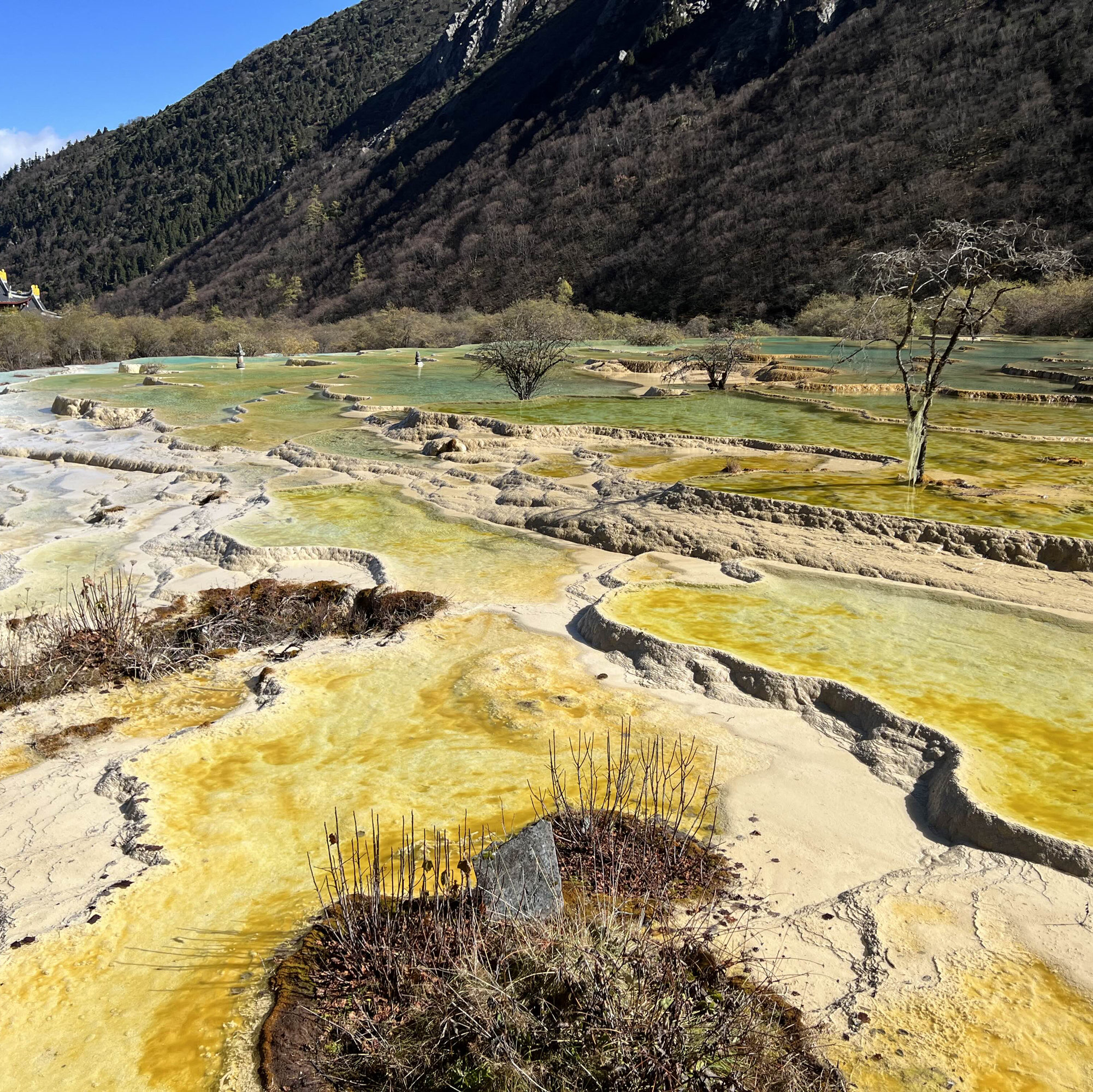 人間仙境的朋友🐉人間瑤池-黃龍｜Trip.com 黃龍風景名勝區