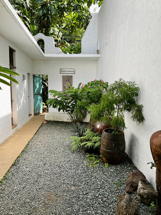 🇵🇭安蒂波洛｜歐式建築搭配腦洞大開的藝術創作