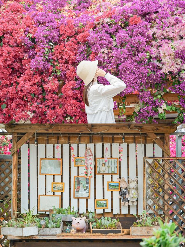 【福島】映えスポット満載✨花と香りの楽園で癒しの時間を🫧 　