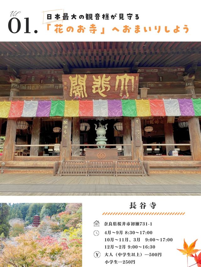 【奈良】美しすぎる寺があるって知ってた？