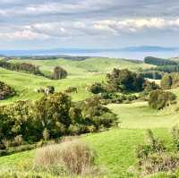 Taupō Tranquility: Road Trip Reverie