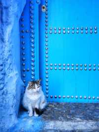 Medina Of Chefchaouen 
