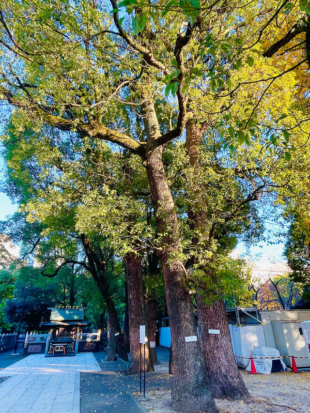 【東京都/熊野神社】増上寺の鬼門封じの神社