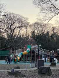 Kiso Sansen Park 138 Tower Park