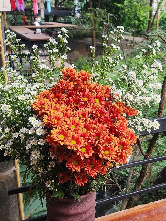 📍บ้านธารกล่อม The River Whisper