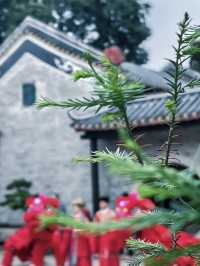 梁園：佛山的古典園林與文化精粹🌸