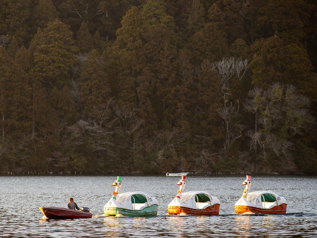 Scenic views of Lake Ashi 