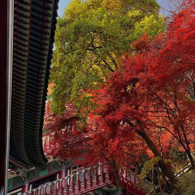 古色古香～譚公廟 