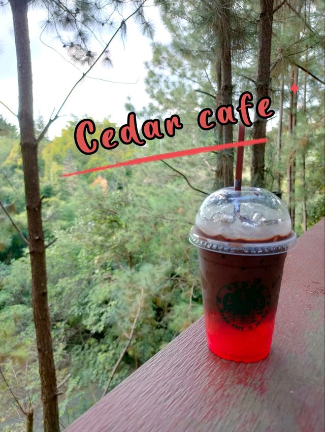 Cedar Cafe ป่าสน เขาค้อ