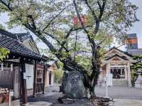 Sakuranomiya Shrine
