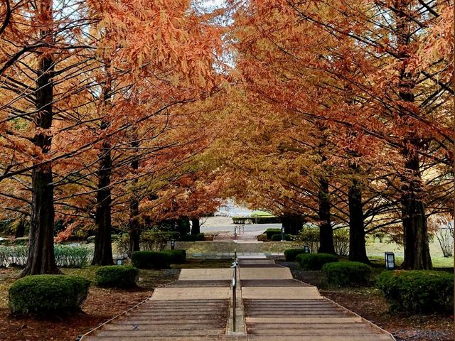 Nagaoka Park