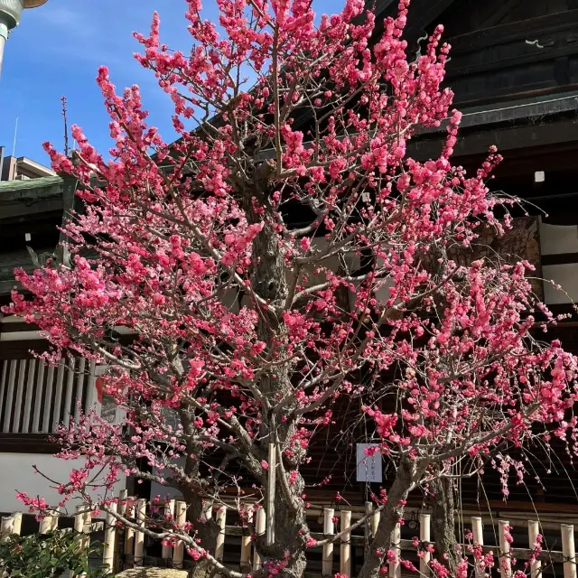 大阪天満宮