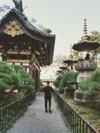 Minh Thanh pagoda - hidden place in Pleiku