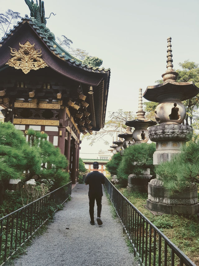 Minh Thanh pagoda - hidden place in Pleiku