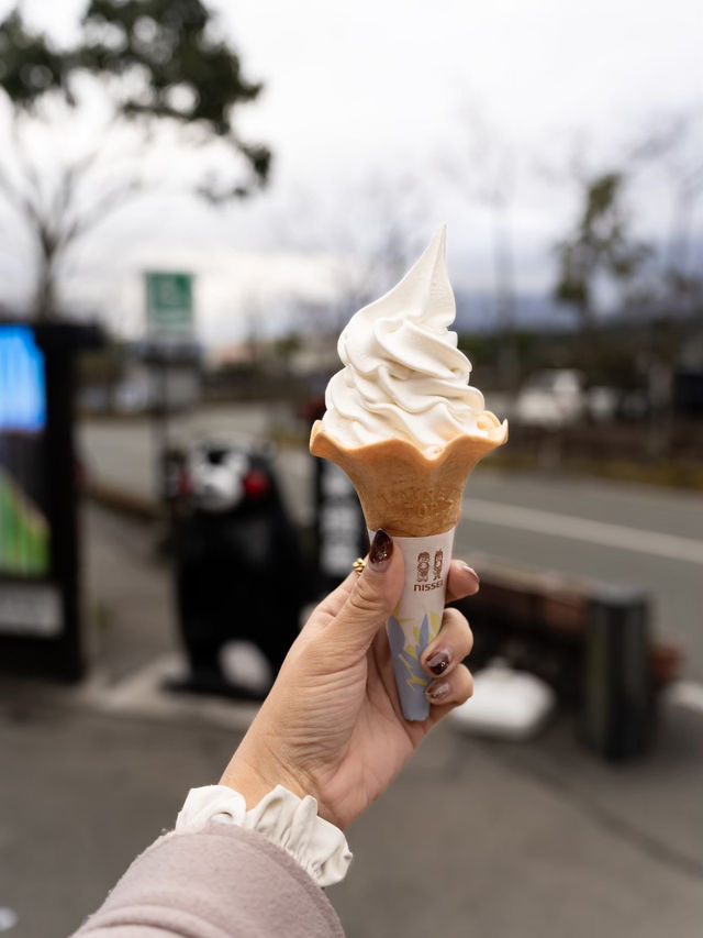 【熊本県/阿蘇市】失敗しない初めての阿蘇旅行プラン