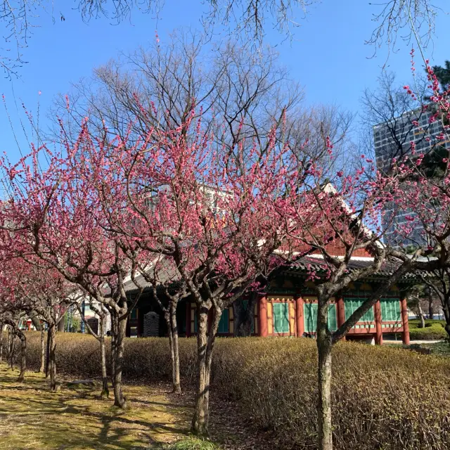 조선시대 경상감영터를 보전하기 위해 조성된, 경상감영공원