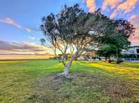 Williamstown beach