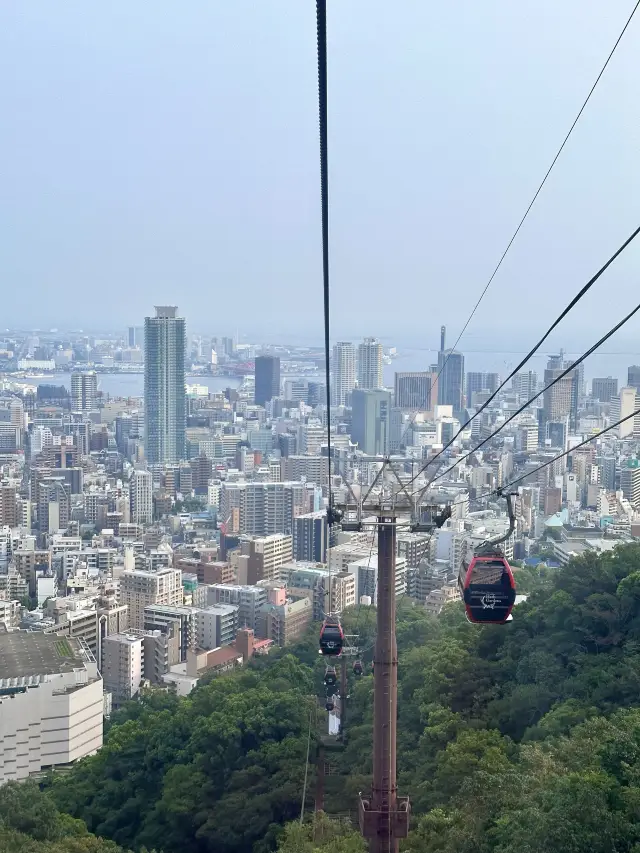도심 속 정원 그리고 로프웨이까지