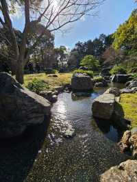 【京都/死ぬまでに1度は見たい絶景】城南宮、梅祭り🏮平日も開門前から込み合う超人気スポット