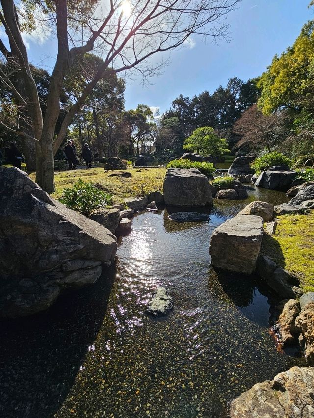 【京都/死ぬまでに1度は見たい絶景】城南宮、梅祭り🏮平日も開門前から込み合う超人気スポット