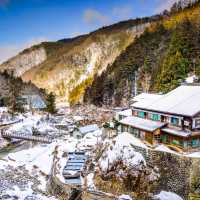 Jigokudani Monkey Park นากาโน่