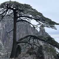 Snowy Huangshan in Anhui China