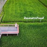 คาเฟ่วิวทุ่งนาเขียวบรรยากาศดีมาก ชัยภูมิ