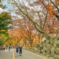 Fall-ing in Namsan Tower