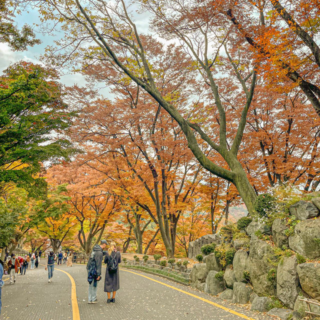 Fall-ing in Namsan Tower