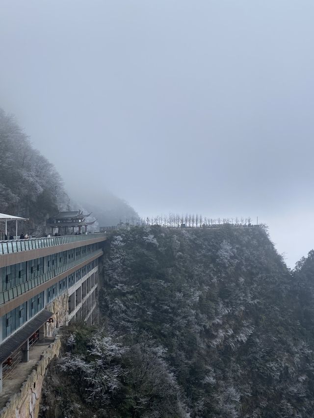 張家界｜天門山-索道🚠上天梯🚡