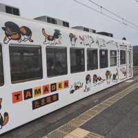 TAMA II (Wakayama electric railway) 