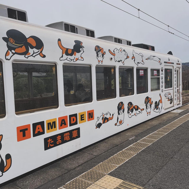 TAMA II (Wakayama electric railway) 