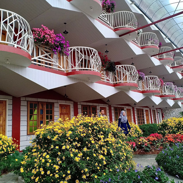 Kea Farm @ Cameron, Pahang Malaysia 