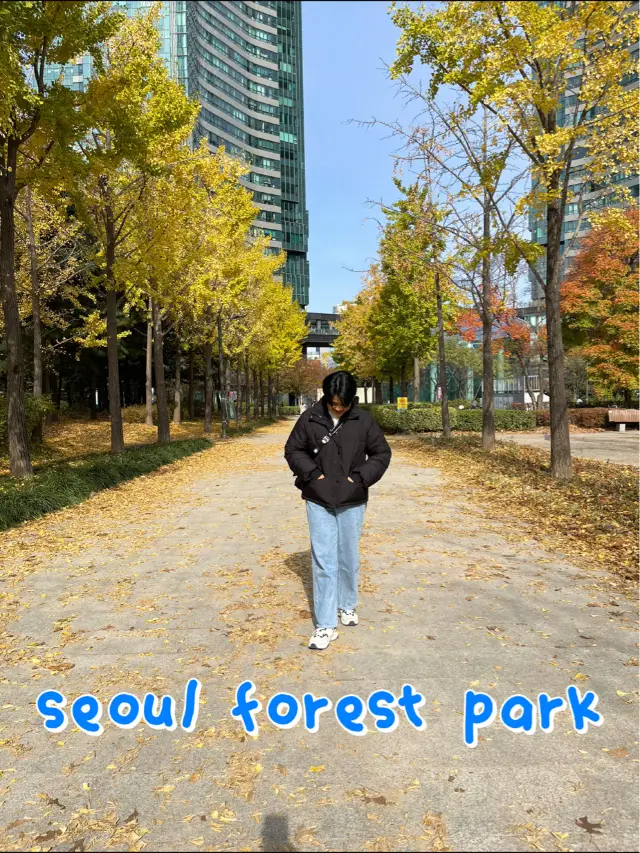 seoul forest park 🌷🍃