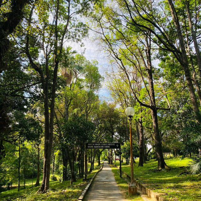 Rare people choose Saint John's Island 🏝️🇸🇬