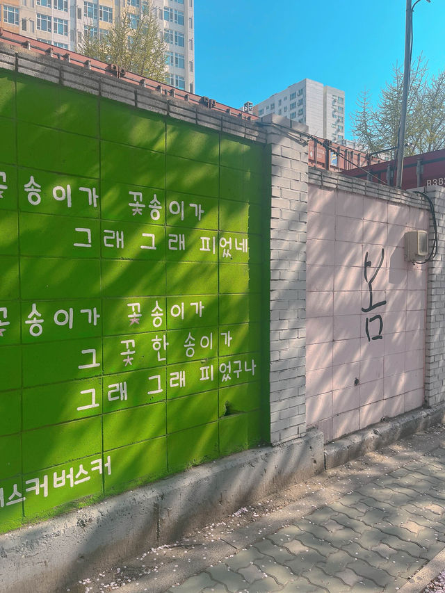 아기자기한 벽화 보는 재미가 있는 벚꽃길 봄 데이트🌸 동수북로 벽화거리