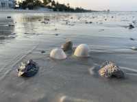 ชายหาดหัวหินช่วงเย็นฟีลดีสุดๆ