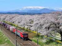 Amazing Shibata Senoko Bridge