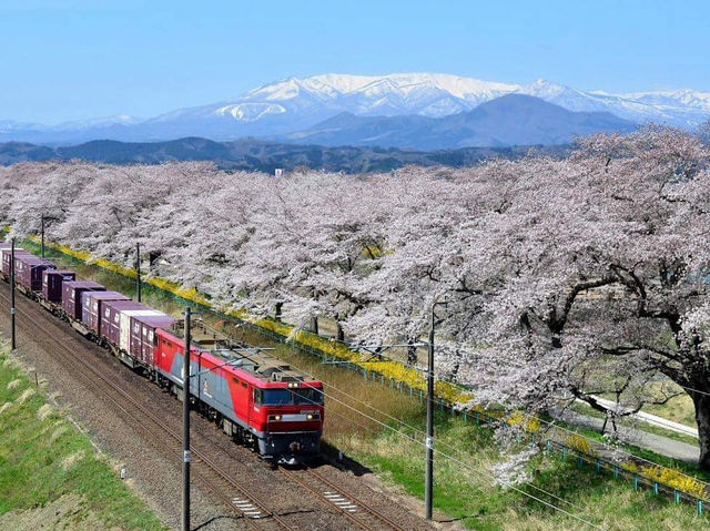 Amazing Shibata Senoko Bridge