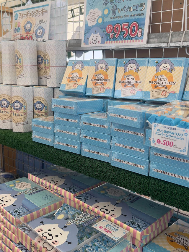  Nemophila Festival งานเทศกาลดอกไม้โอซาก้า