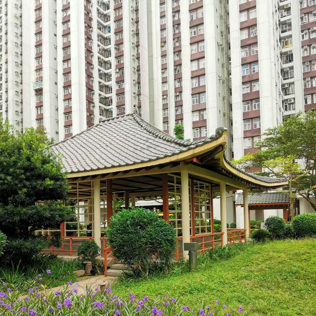 「蝴蝶灣公園～繡球花海」