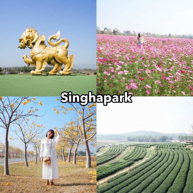 ลัดเลาะรอบเมืองเชียงรายฉบับไม่ขึ้นดอย