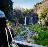 Shiraito water fall /白糸滝