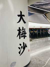 【深圳景點】大梅沙沙灘：海灘沙雕展覽，附近特色酒店