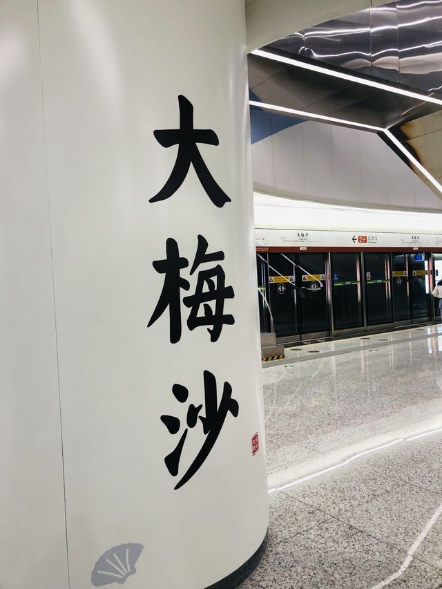 【深圳景點】大梅沙沙灘：海灘沙雕展覽，附近特色酒店