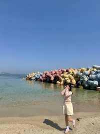 파스텔톤 방파제를 볼 수 있는 사근진해변💙